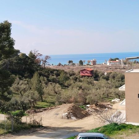 Theasis1 Villa Neos Marmaras Eksteriør billede